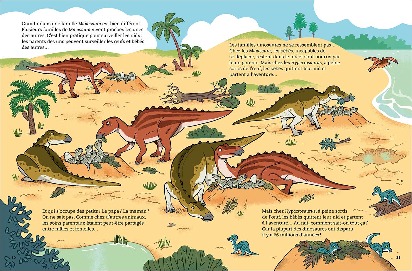 page interieure bebe dinosaures sens dessus dessous 4