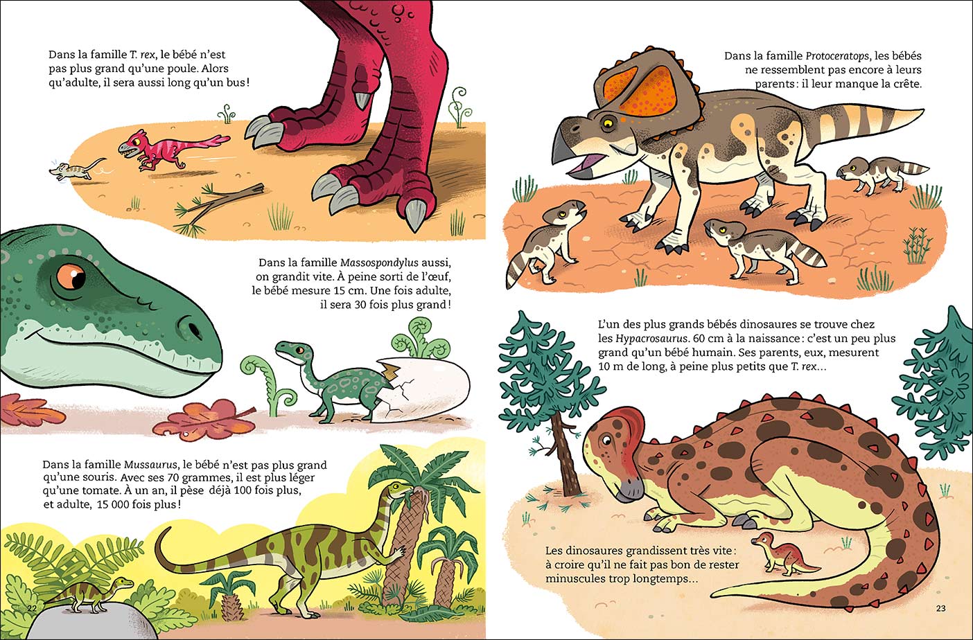 page interieure bebe dinosaures sens dessus dessous 5