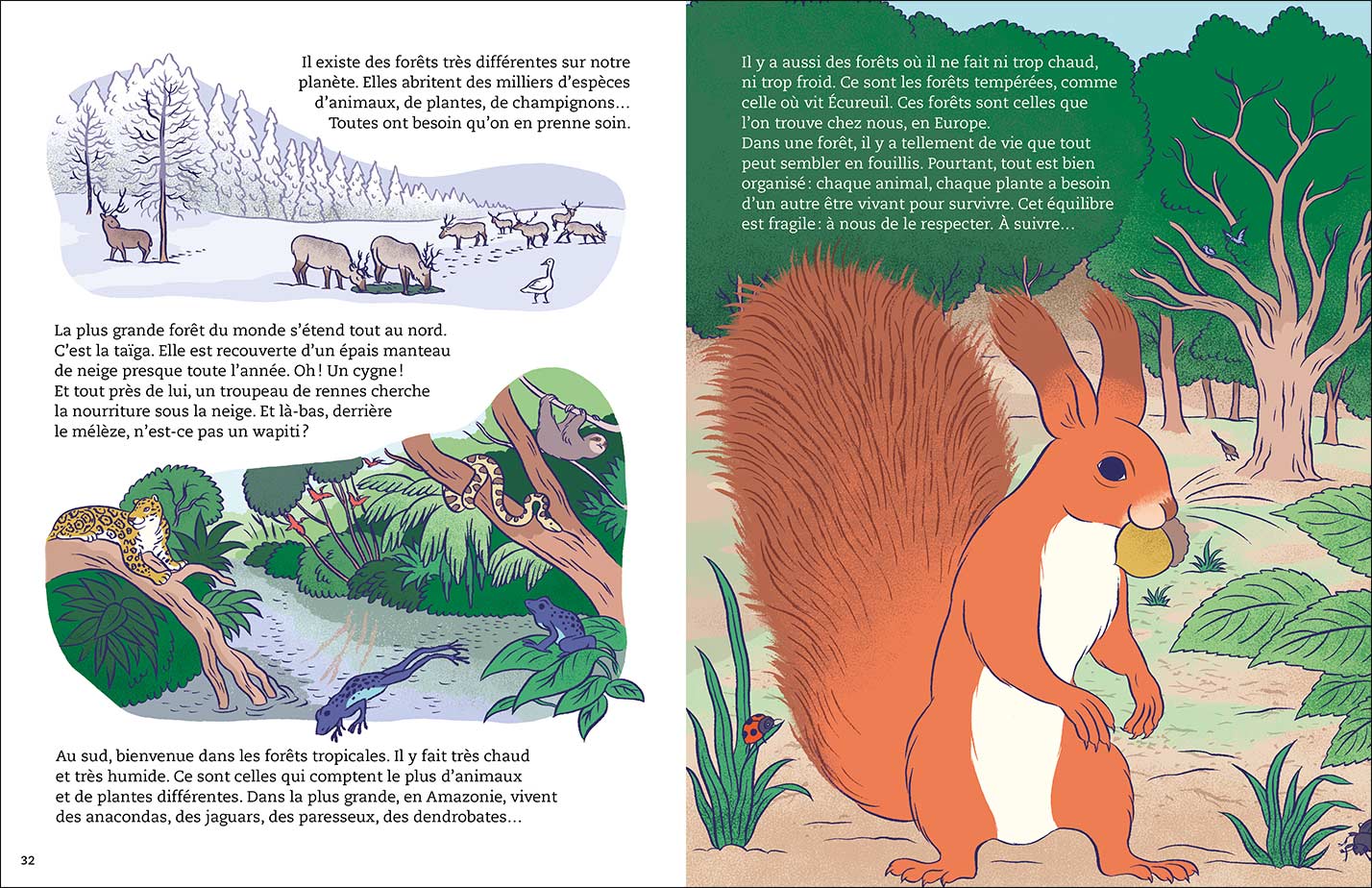 pages interieures vie dans la foret sens dessus dessous 5